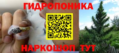 a pvp Мариинск