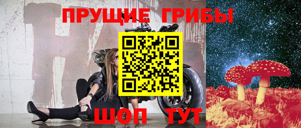 Псилоцибиновые грибы GOLDEN TEACHER Добрянка